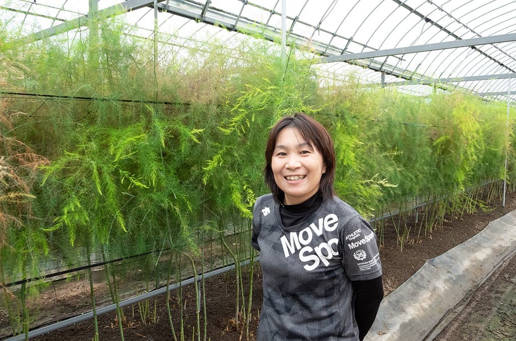 アントファームアスパラ